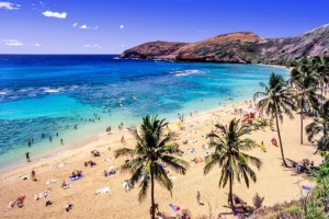 Du lịch Hawaii - Điều cần biết