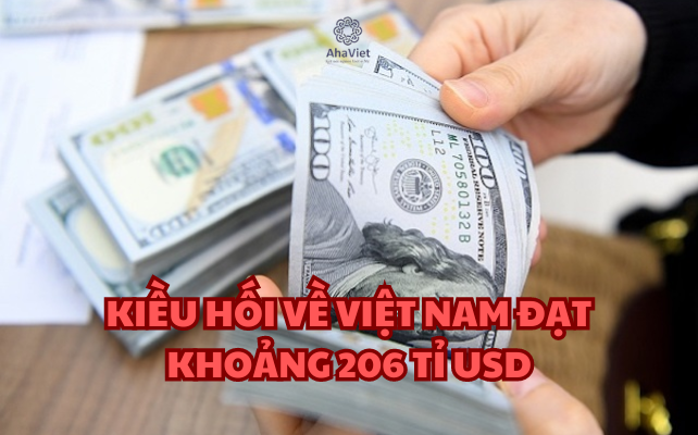 KIỀU HỐI VỀ VIỆT NAM ĐẠT KHOẢNG 206 TỈ USD