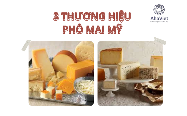 Top 3 thương hiệu phô mai Mỹ được ưa chuộng và cách bảo quản phô mai