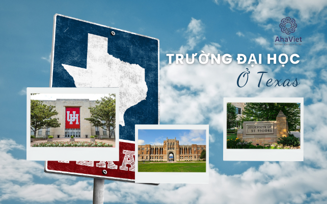 TOP 10 TRƯỜNG ĐẠI HỌC Ở TEXAS, MỸ