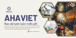 Web bán đậu đồ cũ ở Mỹ - AhaViet 