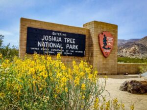 Công viên quốc gia Joshua Tree
