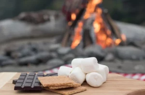 Những món ăn ngon ở Mỹ - BÁNH SMORES