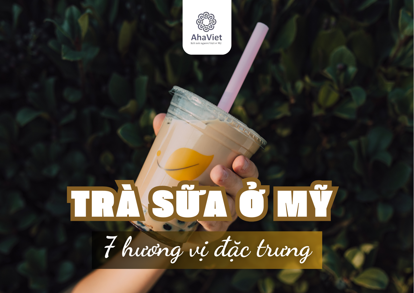 Trà sữa ở Mỹ