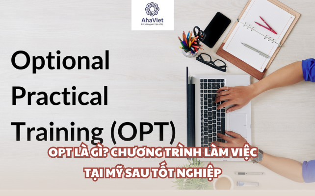 OPT là gì? Chương trình làm việc tại Mỹ sau tốt nghiệp